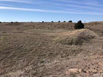 , Julesburg, CO 80737