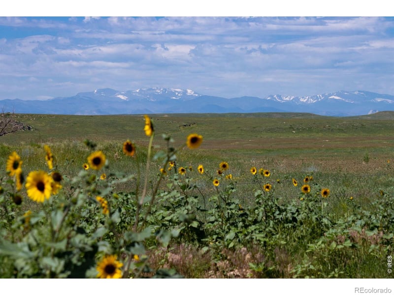 6 Tbd County Road 122, Carr, CO 80612
