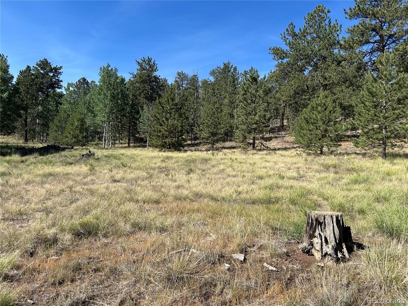 565 Hayhook Way, Hartsel, CO 80449