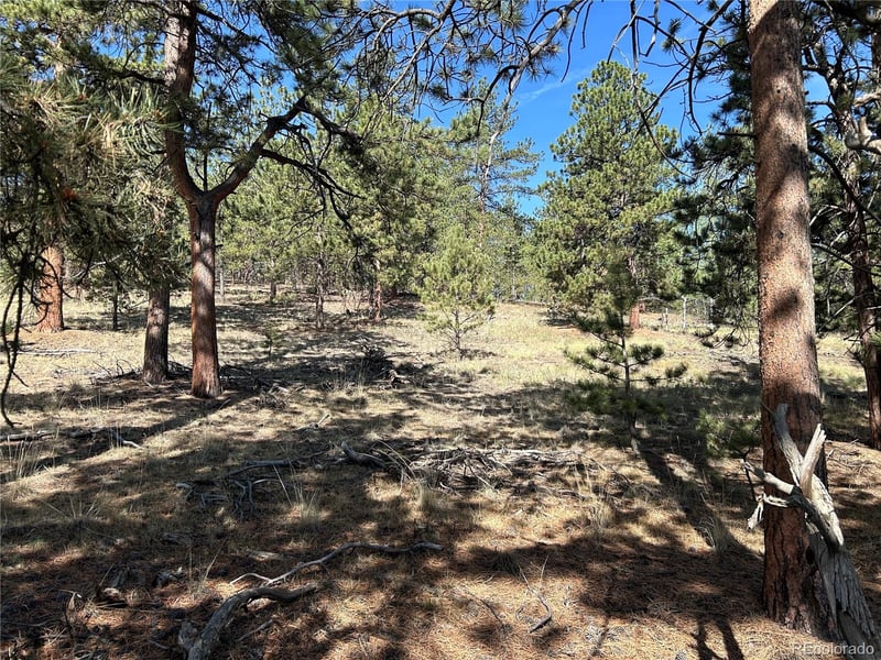 565 Hayhook Way, Hartsel, CO 80449