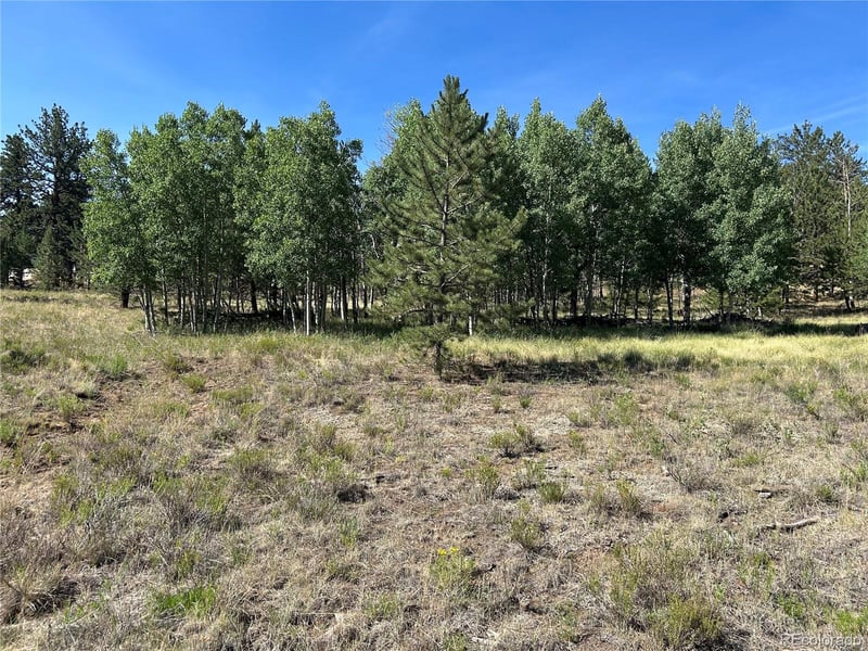 565 Hayhook Way, Hartsel, CO 80449