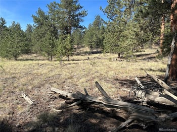 565 Hayhook Way, Hartsel, CO 80449