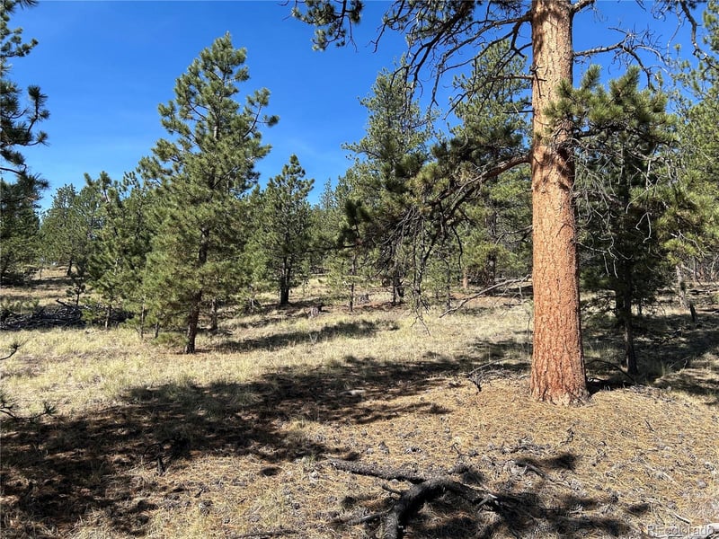 565 Hayhook Way, Hartsel, CO 80449