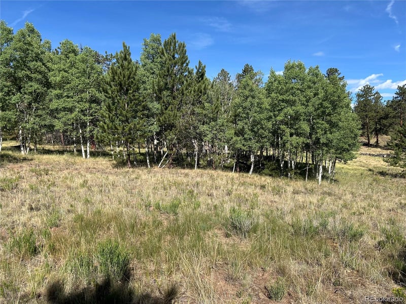 519 Hayhook Way, Hartsel, CO 80449