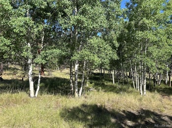 519 Hayhook Way, Hartsel, CO 80449