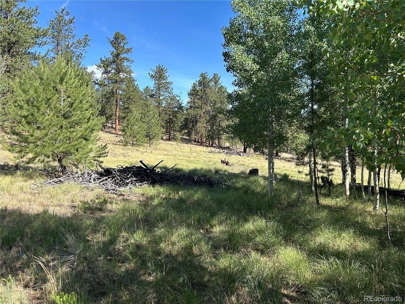 519 Hayhook Way, Hartsel, CO 80449