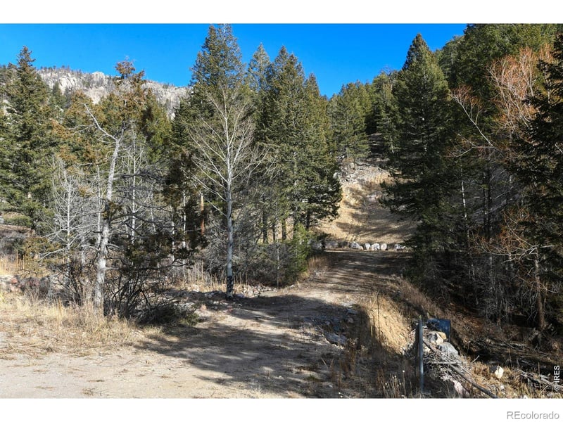 416 Black Creek Dr, Glen Haven, CO 80532