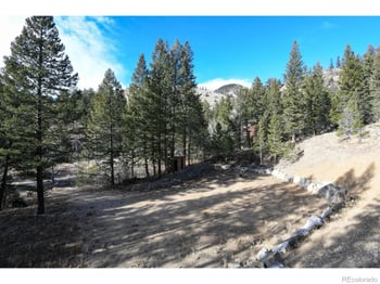 416 Black Creek Dr, Glen Haven, CO 80532