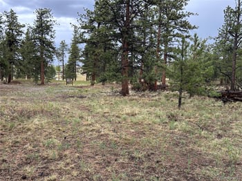 120 Harness Way, Hartsel, CO 80449