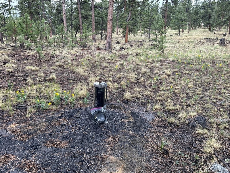 120 Harness Way Lot 222, Hartsel, CO 80449