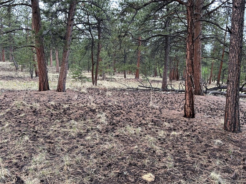 120 Harness Way Lot 222, Hartsel, CO 80449