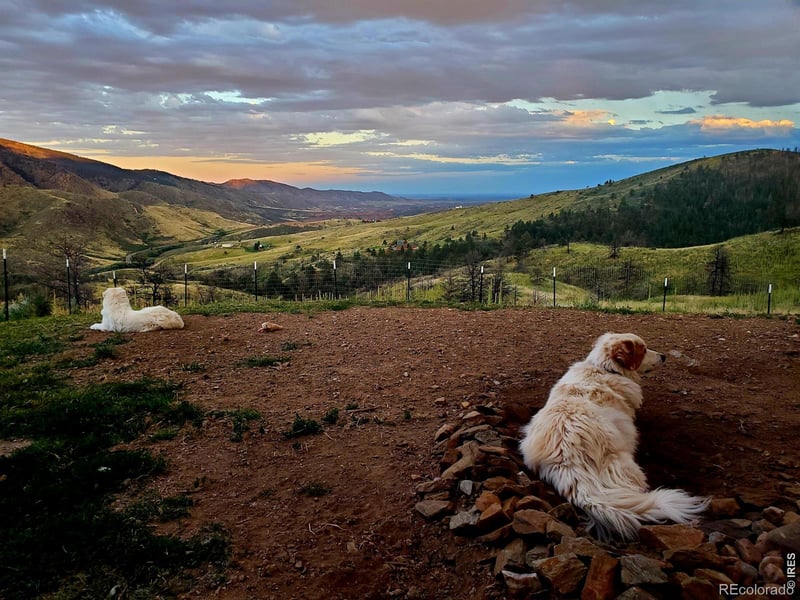 957 Stringtown Gulch Rd, Bellvue, CO 80512