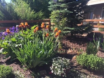 4504 Rabbit Mountain Rd, Broomfield, CO 80020