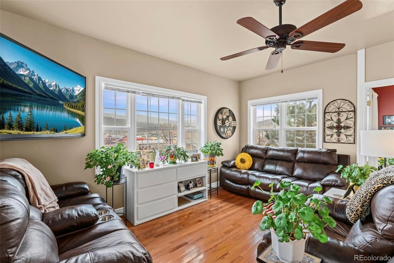 365 Bridge St, Nederland, CO 80466