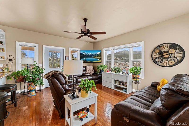 365 Bridge St, Nederland, CO 80466