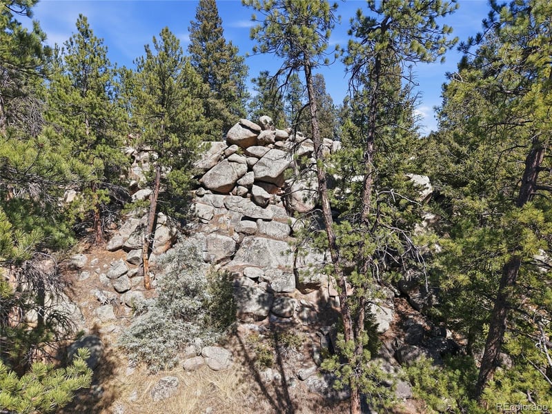 27559 Fireweed Dr, Evergreen, CO 80439