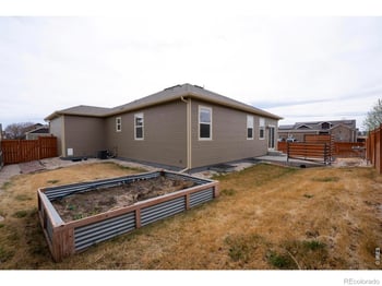 3610 Sunrose St, Wellington, CO 80549