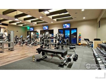 6309 Foundry Ct, Timnath, CO 80547