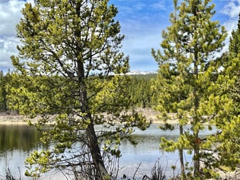 2203 Lakeside Dr, Fairplay, CO 80440