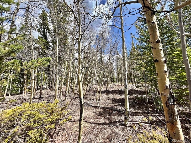 2203 Lakeside Dr, Fairplay, CO 80440