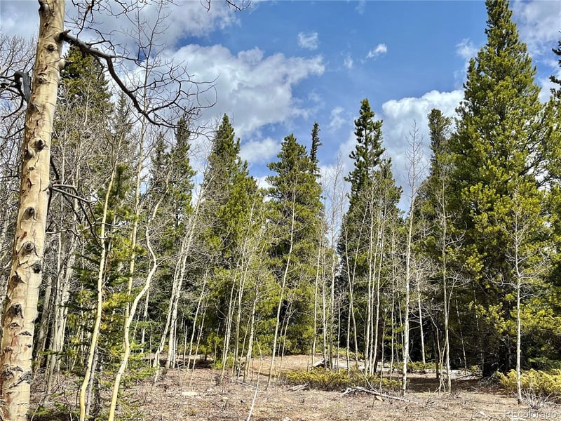 2203 Lakeside Dr, Fairplay, CO 80440