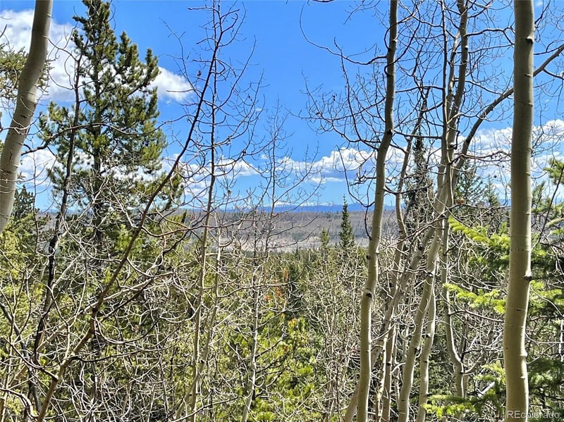 2203 Lakeside Dr, Fairplay, CO 80440