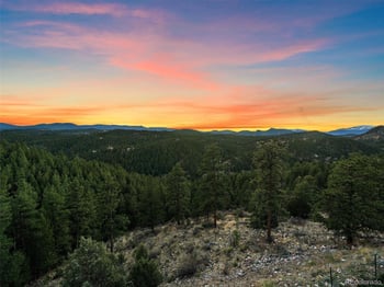 35005 Whispering Pines Trl, Pine, CO 80470