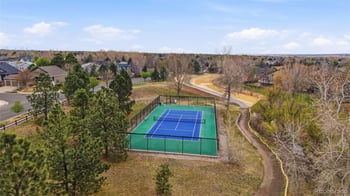 10894 Willow Reed Cir, Parker, CO 80134
