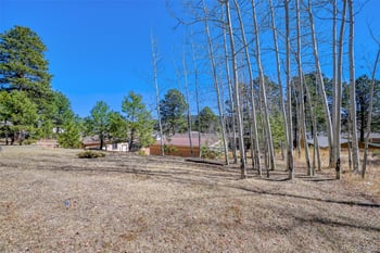 919 Browning Ave, Woodland Park, CO 80863