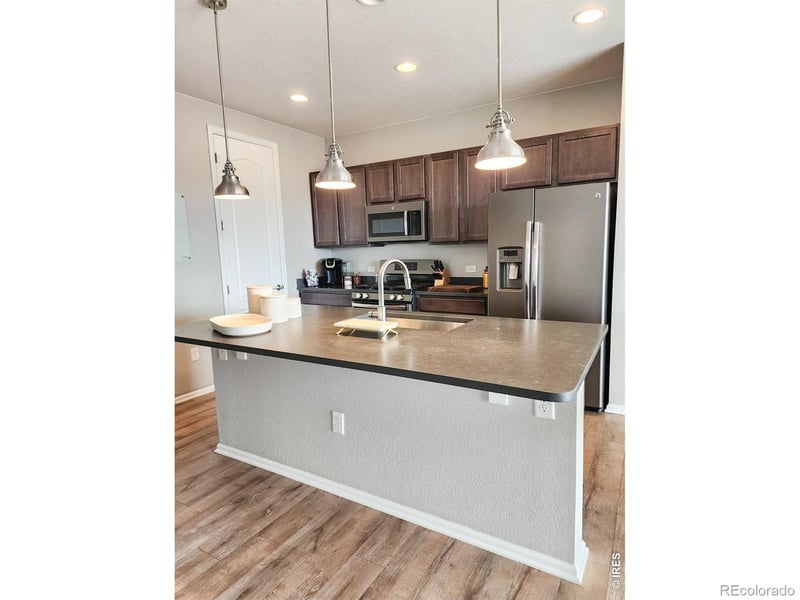 1637 Stoll Dr, Windsor, CO 80550