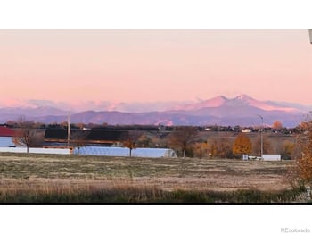 1637 Stoll Dr, Windsor, CO 80550