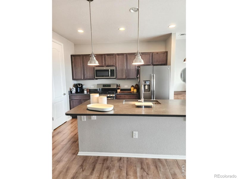 1637 Stoll Dr, Windsor, CO 80550