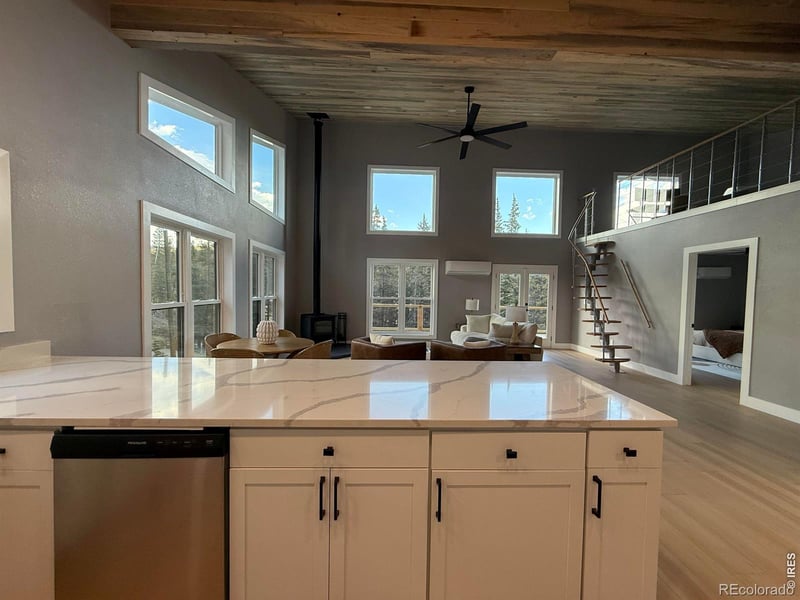 950 Gold Pan Ln, Fairplay, CO 80440