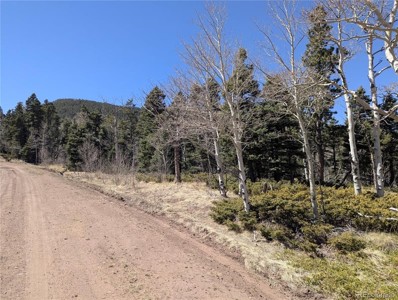 2938 Kemper Loop, Fort Garland, CO 81133