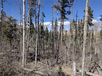 2938 Kemper Loop, Fort Garland, CO 81133