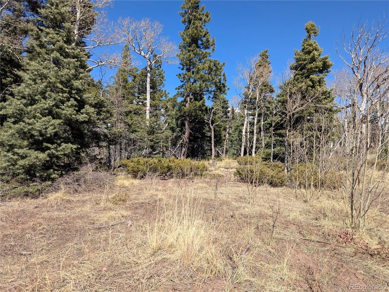 2938 Kemper Loop, Fort Garland, CO 81133