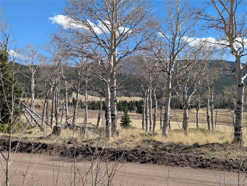 2938 Kemper Loop, Fort Garland, CO 81133