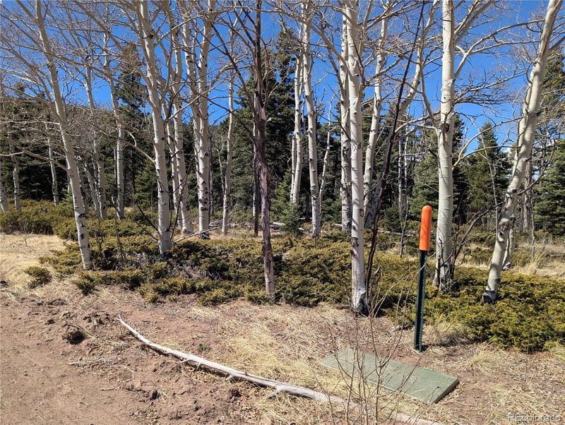 2938 Kemper Loop, Fort Garland, CO 81133