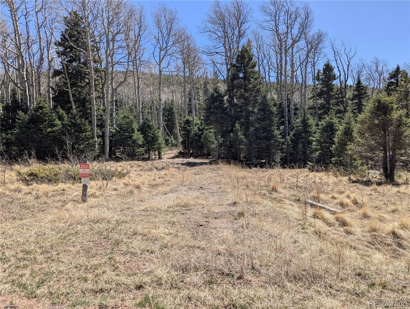 2664 Grojean Dr, Fort Garland, CO 81133