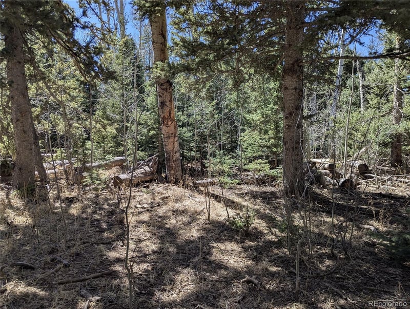 2664 Grojean Dr, Fort Garland, CO 81133