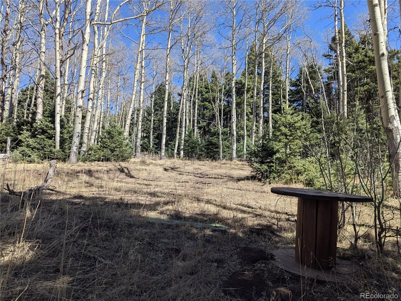 2664 Grojean Dr, Fort Garland, CO 81133