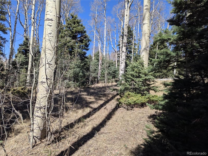 2664 Grojean Dr, Fort Garland, CO 81133