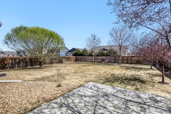 1778 Avery Plaza St, Severance, CO 80550