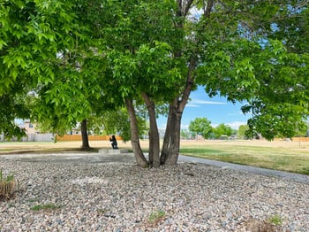 2105 Kiersi Ct, Johnstown, CO 80534