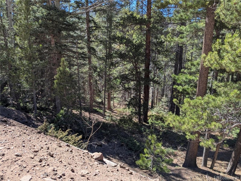 3375 Purnell Ln, Fort Garland, CO 81133