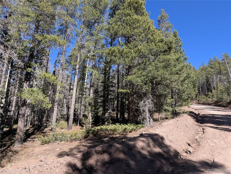 3375 Purnell Ln, Fort Garland, CO 81133