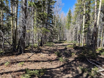 3375 Purnell Ln, Fort Garland, CO 81133