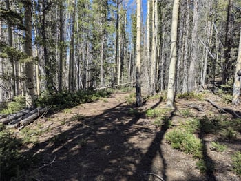 3375 Purnell Ln, Fort Garland, CO 81133