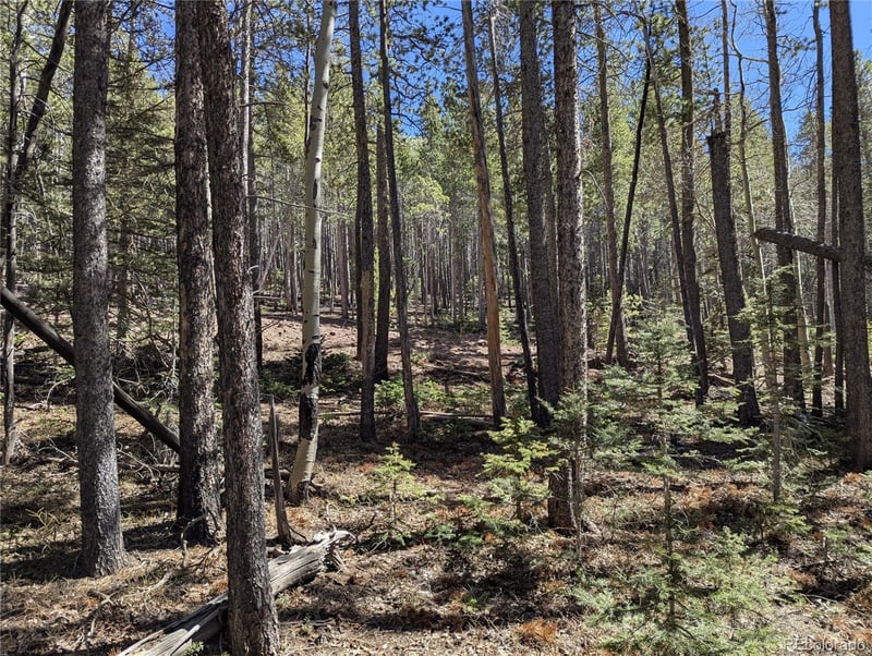 3375 Purnell Ln, Fort Garland, CO 81133