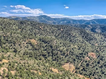 Lot 1 Eagle Mining Claim, Dumont, CO 80436